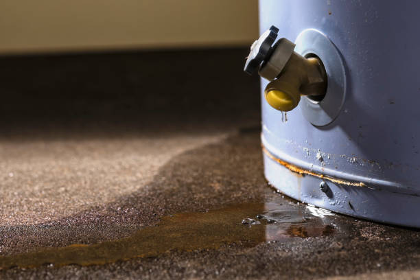 Best Sewage cleanup and water damage restoration  in Marysville, KS
