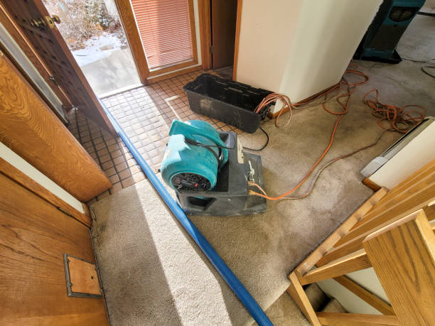 Best Flooded house restoration  in Marysville, KS