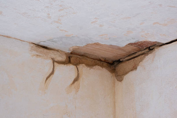 Best Basement water damage restoration  in Marysville, KS