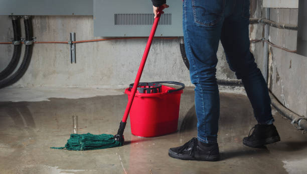 Best Mold removal after water damage  in Marysville, KS