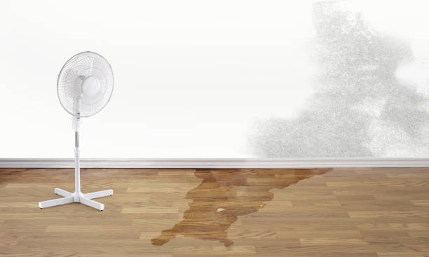 Best Water damage contractors near me  in Marysville, KS