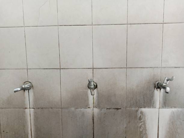 Best Water damage cleanup near me  in Marysville, KS