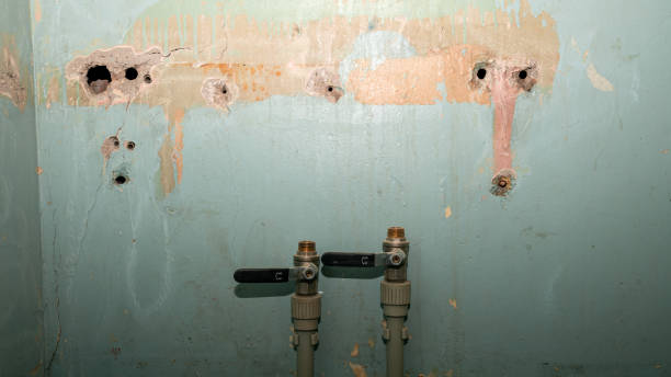 Reliable KS Water damage restoration Solutions